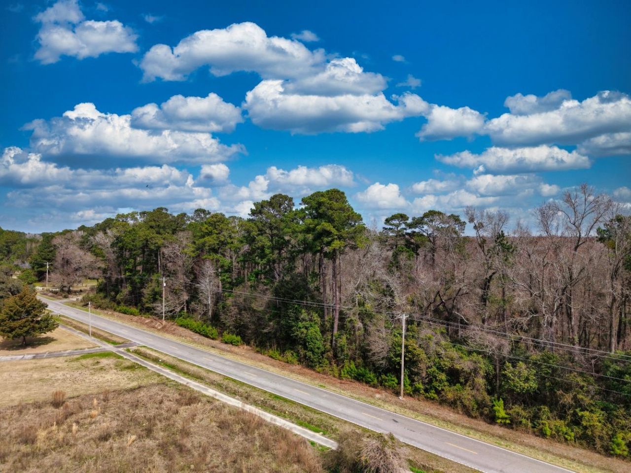 Tbd Bucksport Rd. Photo 6