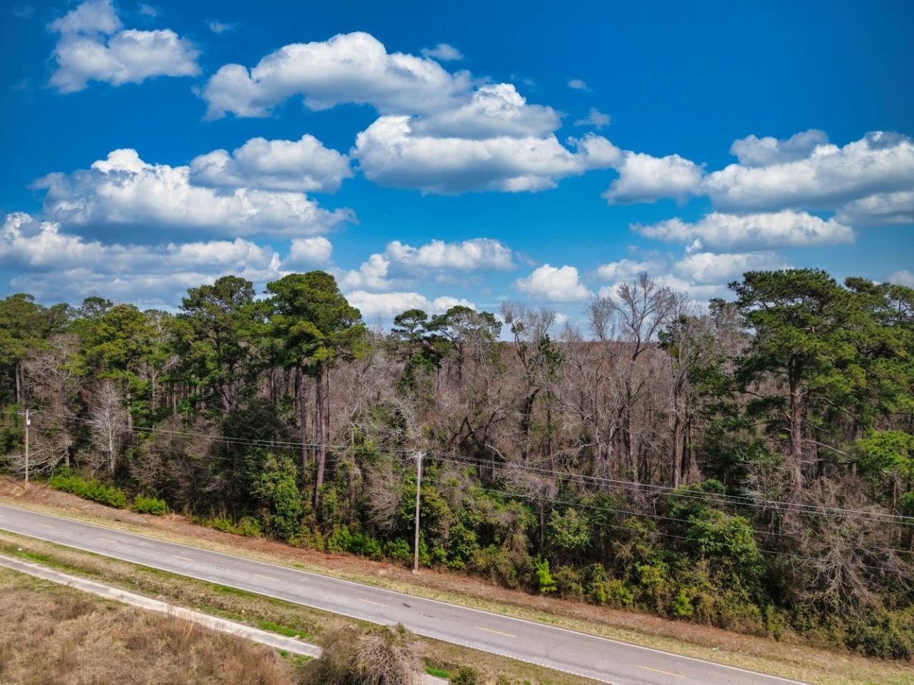 Tbd Bucksport Rd. Photo 8