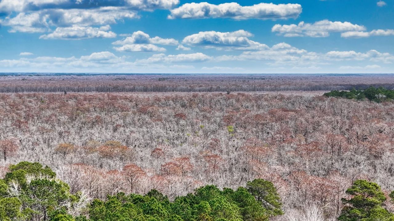 Tbd Bucksport Rd. Photo 9