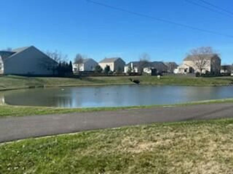 4032 Ponds Edge Street Street, Grove City, OH 43123 Photo 2
