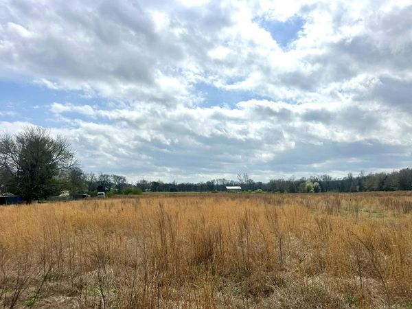 15375 Zehner Rd, Athens, AL