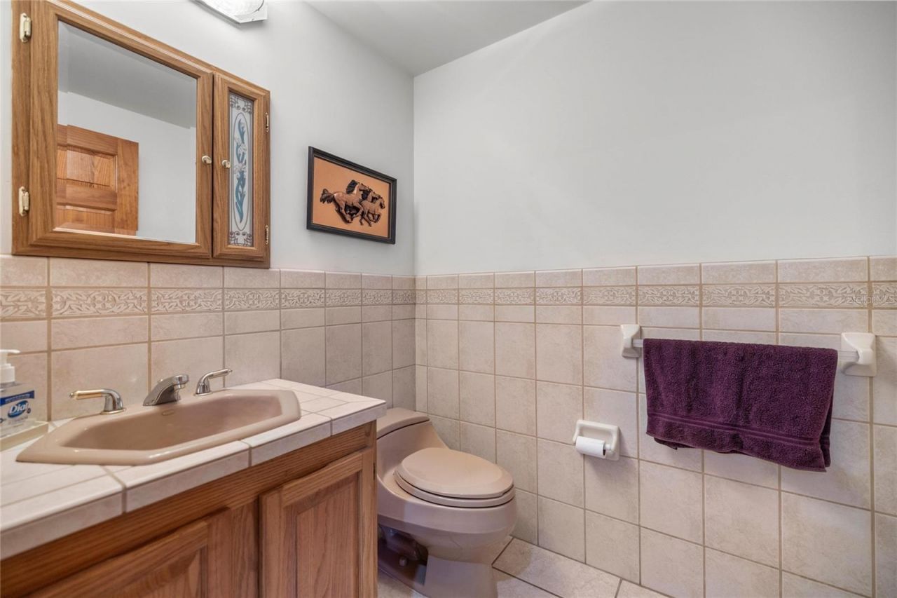 4559 W Dunklin Street, Dunnellon, FL 34433 Photo