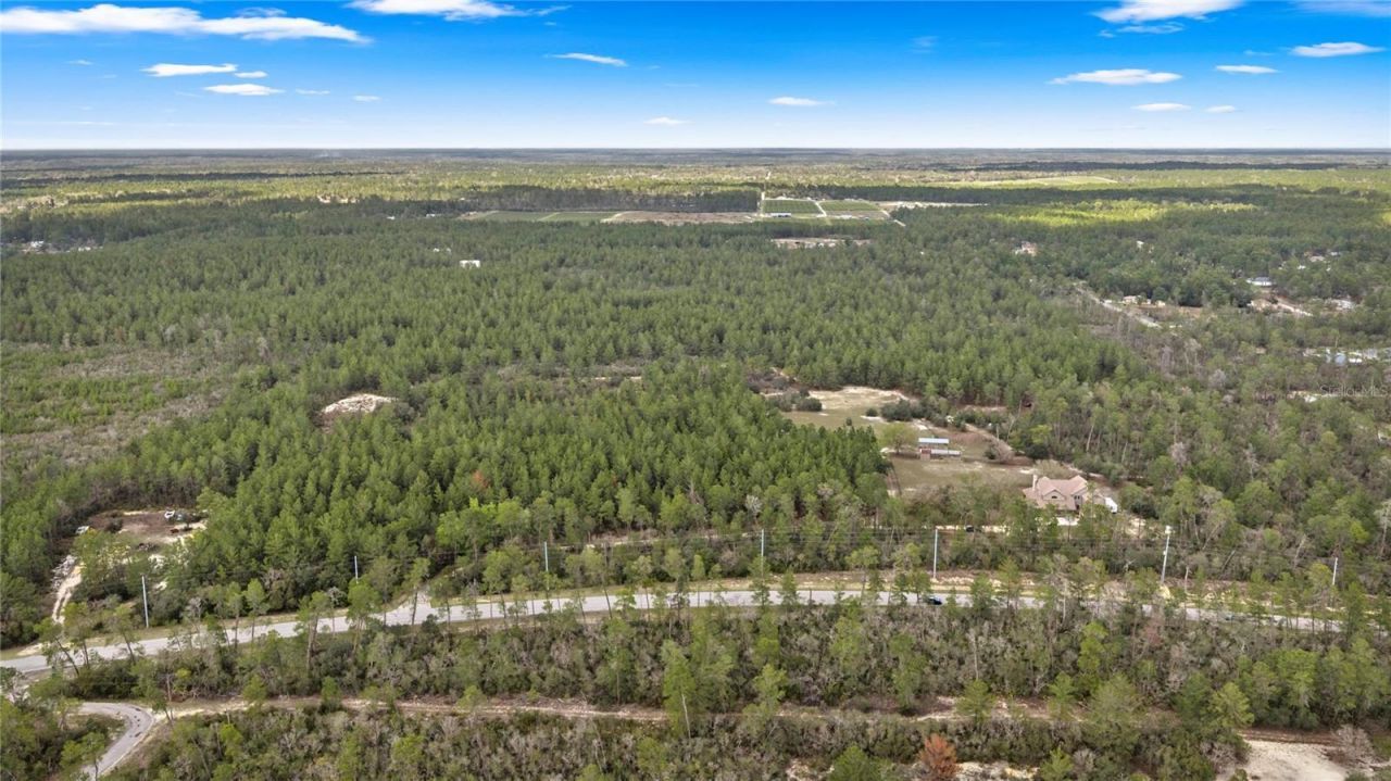 4559 W Dunklin Street, Citrus Springs, FL 34433 Photo