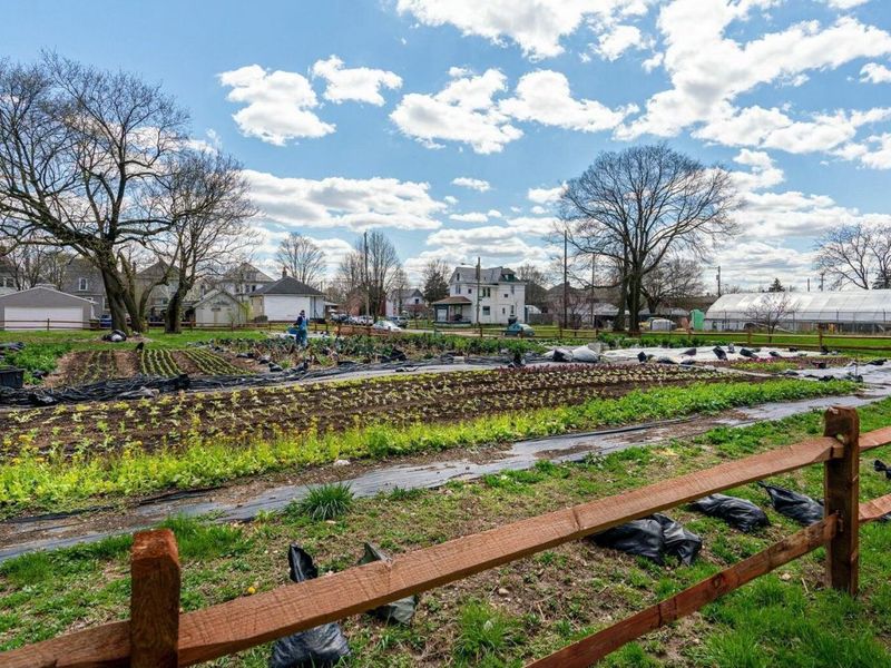 300 S Cypress Avenue, Columbus, OH 43223 Photo 44