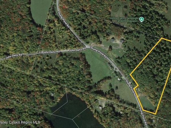 Tbd Stump Pond Road, Livingston Manor, NY 12758