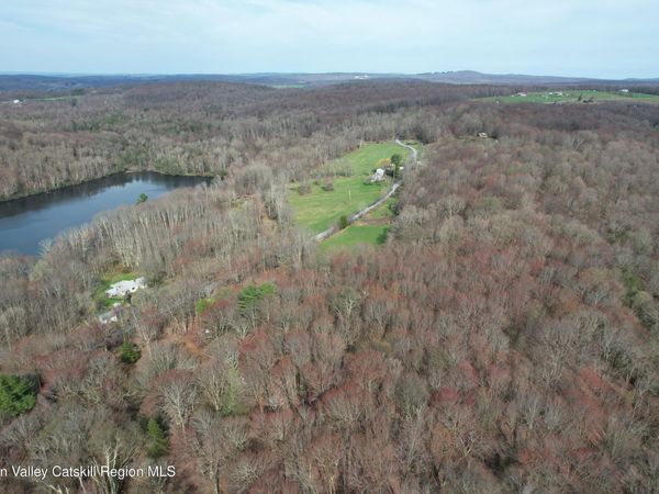 Tbd Stump Pond Road, Livingston Manor, NY 12758