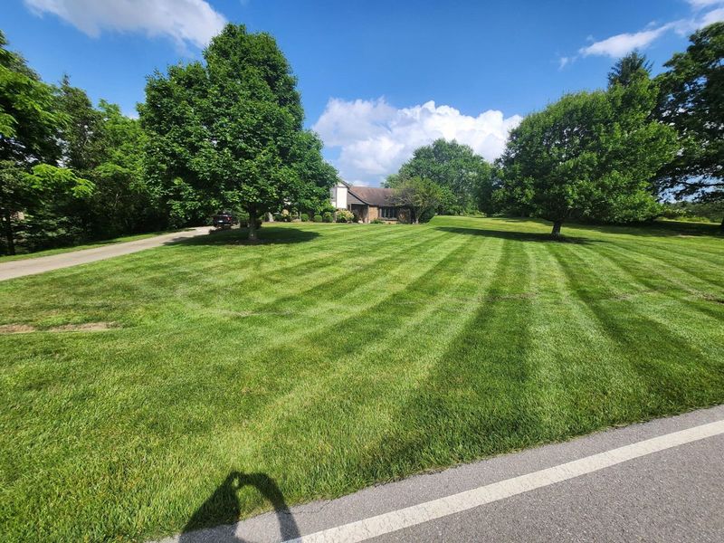 10252 Tiburon Drive, Florence, KY 41042 Photo 6