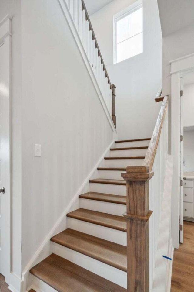 291 Denham Street Photo 5