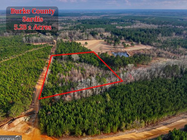 5.04+/- ACRES Joyner Oglesby Road, Unit LOT #1, Sardis, GA 30456