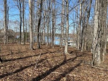 Lot 161 NEW DAWN COURT, BUMPASS, VA 23024