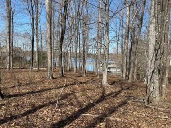 Lot 161 NEW DAWN COURT, BUMPASS, VA 23024