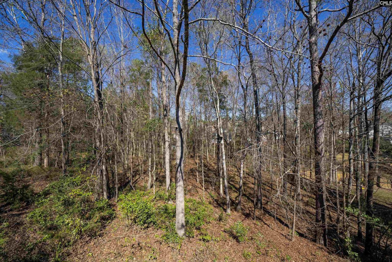 6 Gidding Ct Photo 16