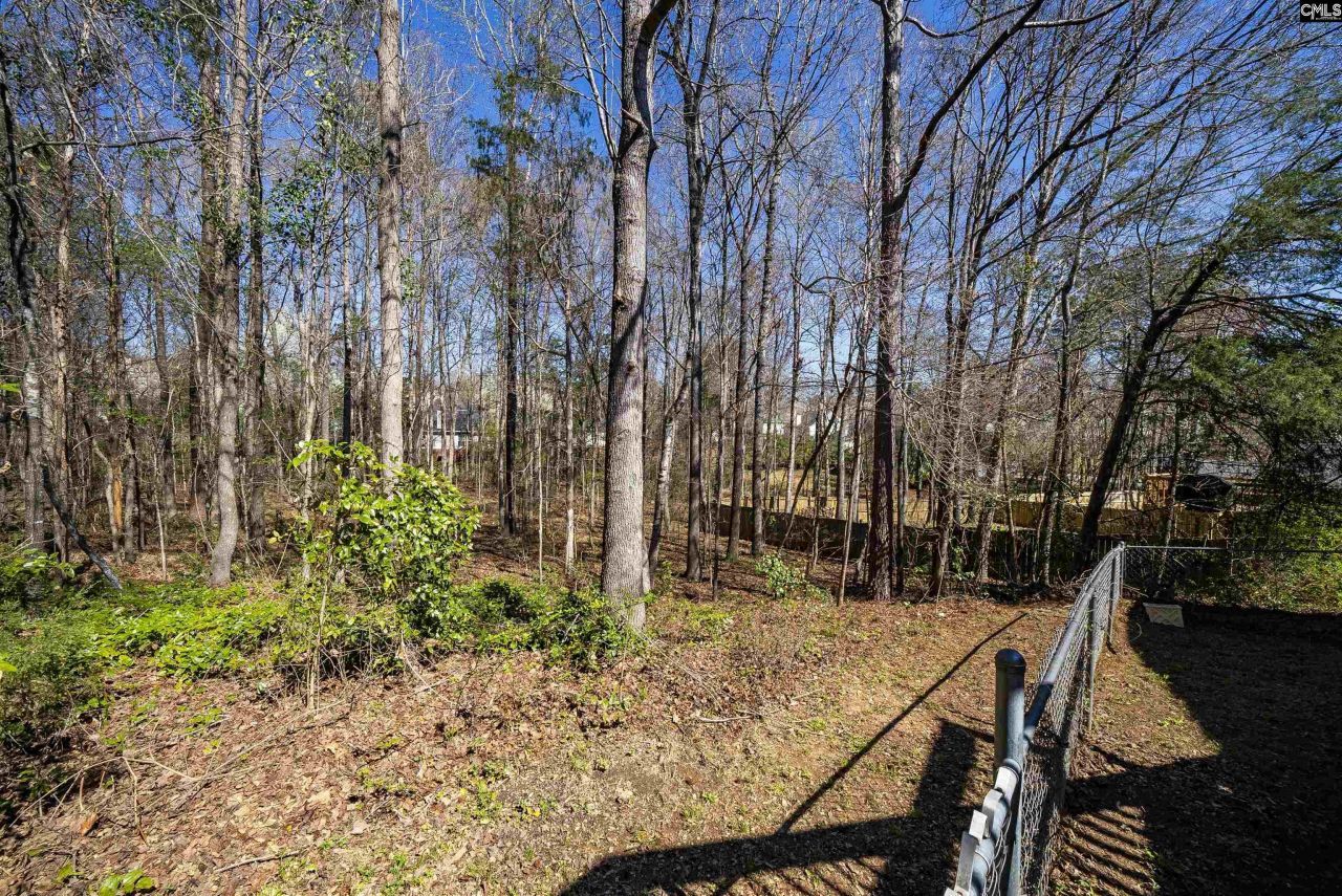 6 Gidding Ct Photo 40