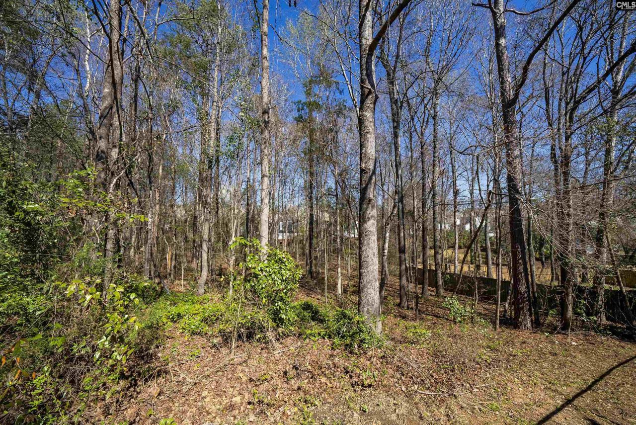 6 Gidding Ct Photo 41