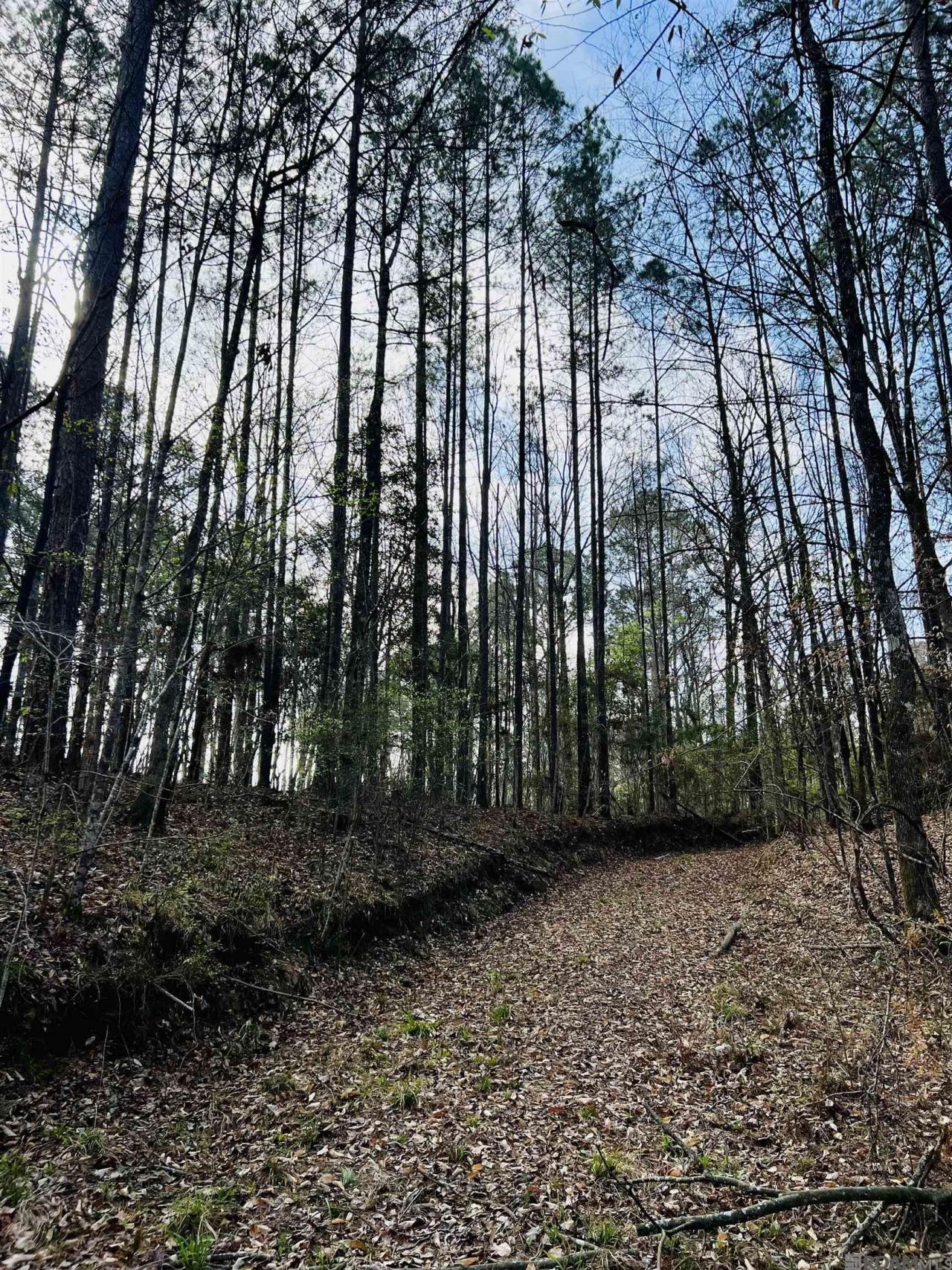 15397 Rogers Rd, Saint Francisville, LA 70775 Main Photo