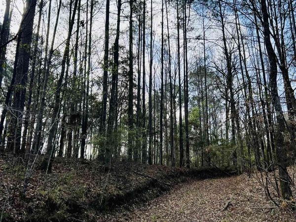 15397 Rogers Rd, St Francisville, LA 70775