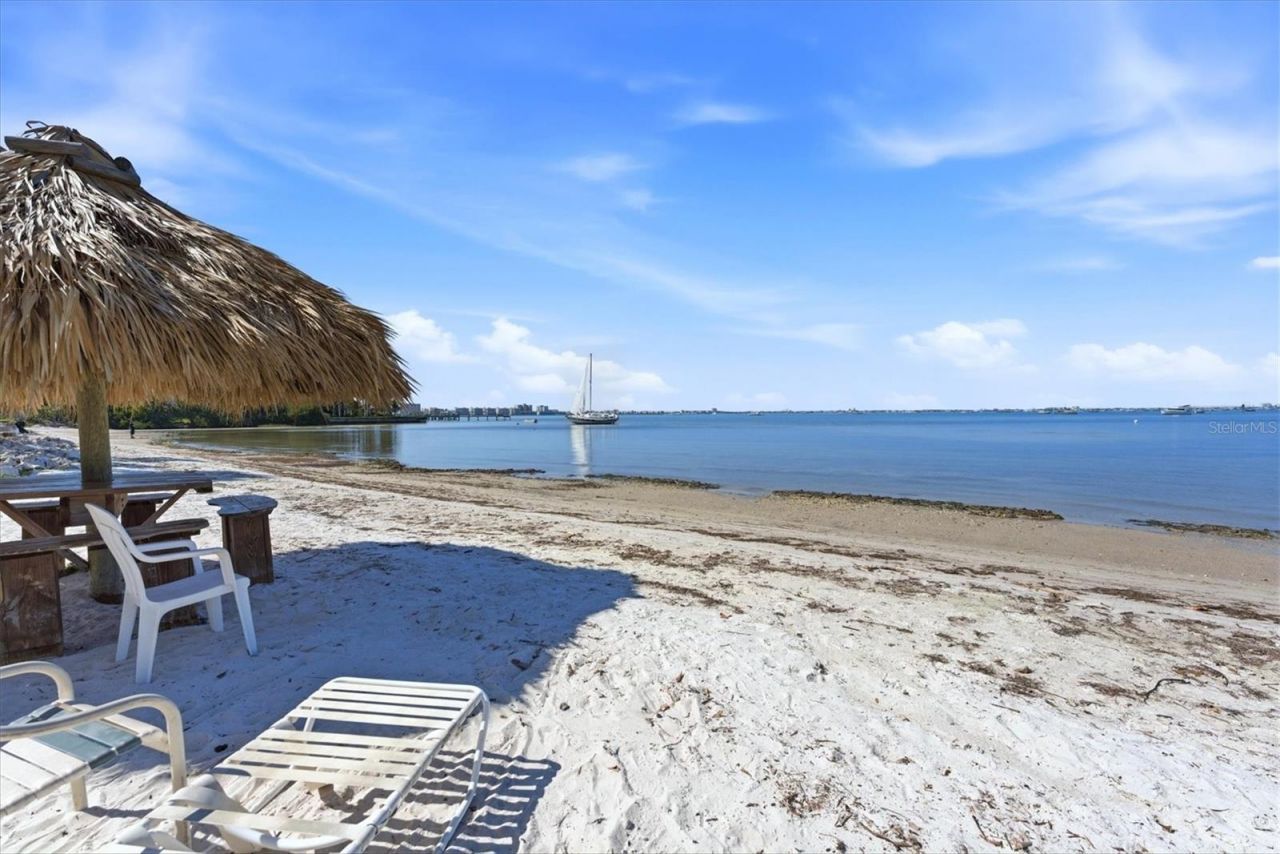 4230 36th Avenue S, Unit A, Saint Petersburg, FL 33711 Photo