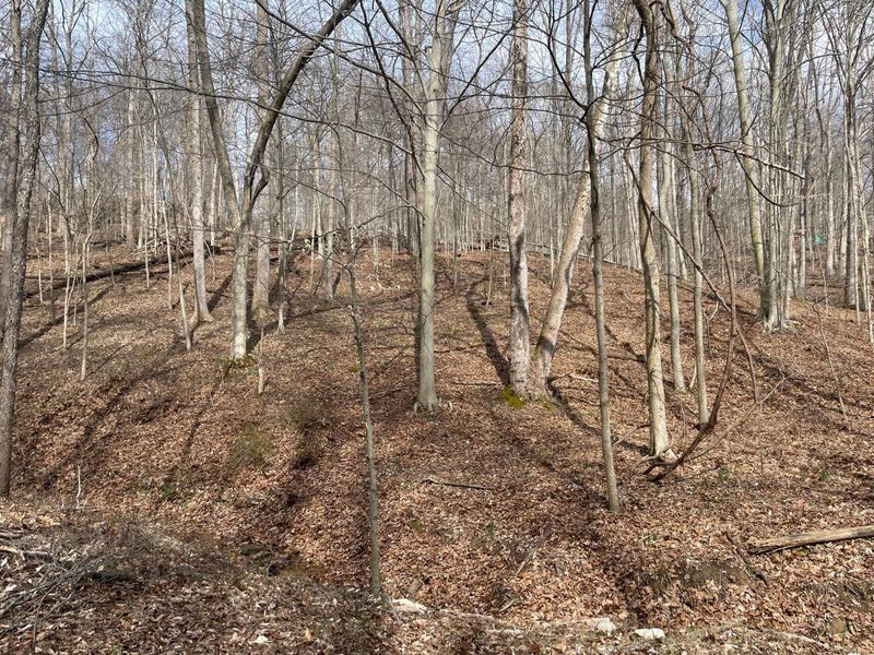 0 Bearclaw Court SE, Sugar Grove, OH 43155 Photo 2