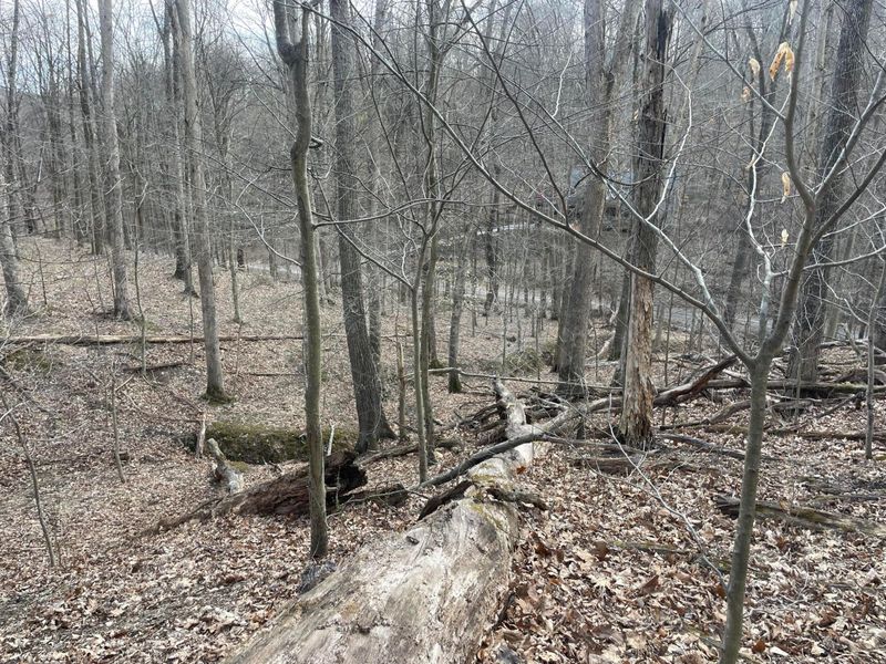 0 Bearclaw Court SE, Sugar Grove, OH 43155 Photo 3