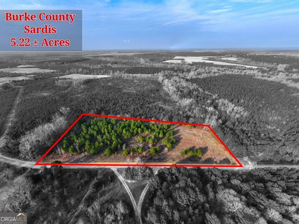 5.22+/- ACRES Joyner Oglesby Road, Unit LOT #4, Sardis, GA 30456