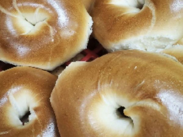 000 Wiles Road, Coral Springs, FL 33076