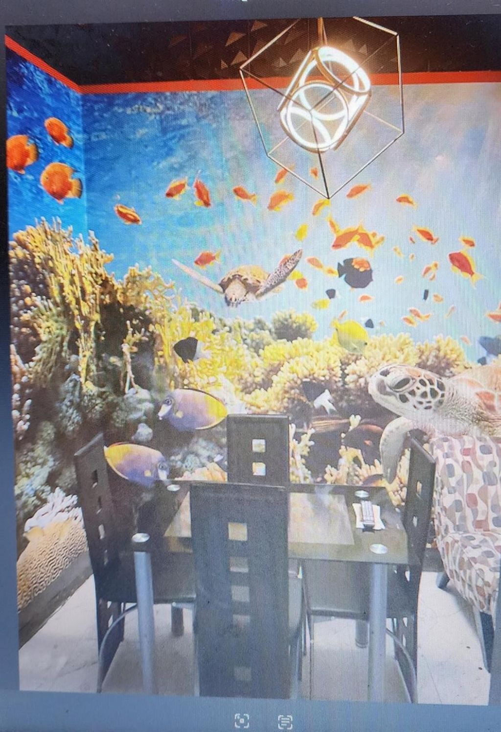 Please Call For Address, Plantation, FL 33317 Photo