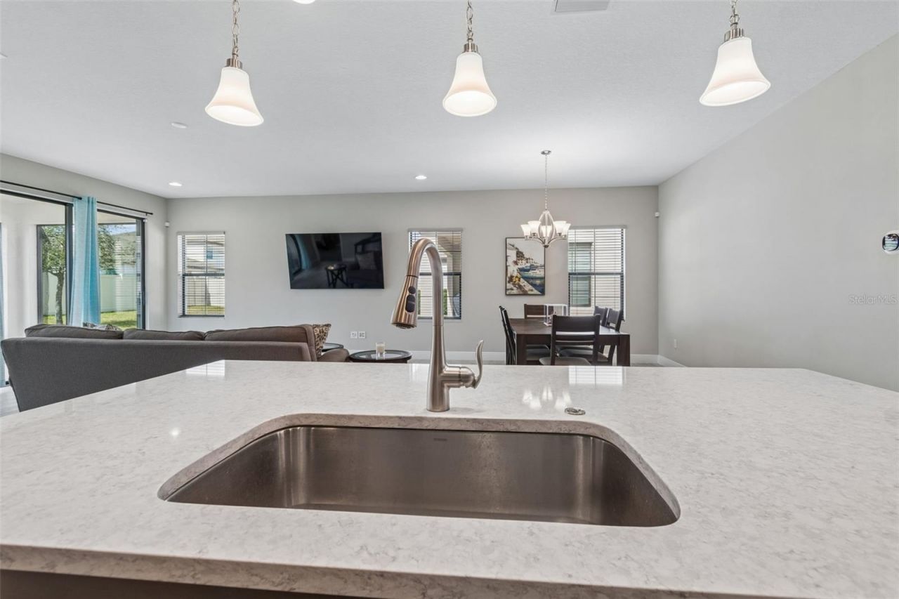 12453 Horseshoe Bend Drive, Lithia, FL 33547 Photo