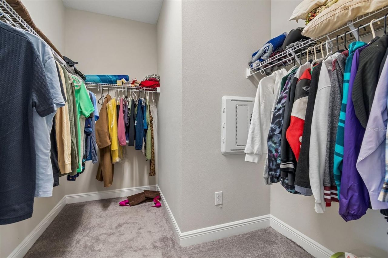 12453 Horseshoe Bend Drive, Lithia, FL 33547 Photo