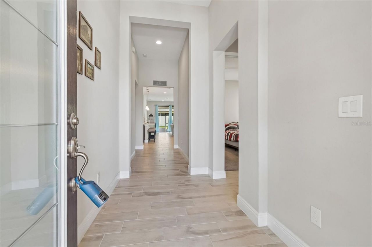 12453 Horseshoe Bend Drive, Lithia, FL 33547 Photo
