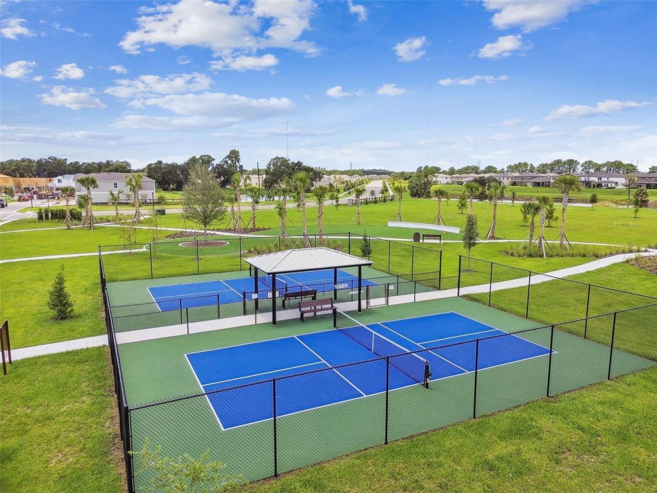 12453 Horseshoe Bend Drive, Lithia, FL 33547 Photo