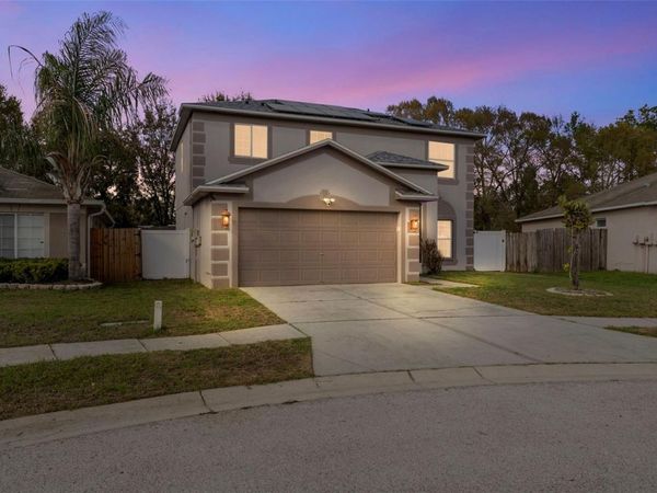 31001 MIDTOWN COURT , WESLEY CHAPEL, FL 33545