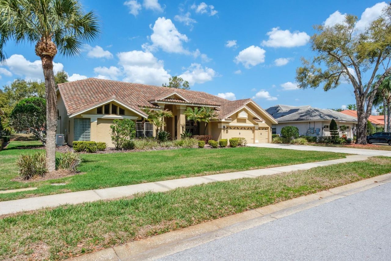 35 Kelleys Trail, Oldsmar, FL 34677 Photo