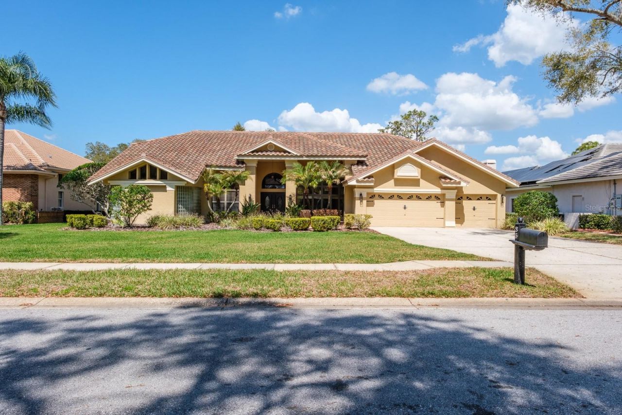 35 Kelleys Trail, Oldsmar, FL 34677 Photo