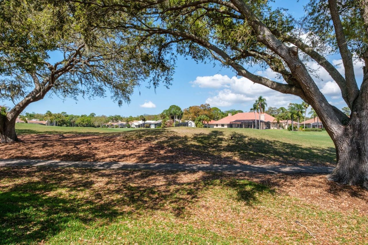 35 Kelleys Trail, Oldsmar, FL 34677 Photo