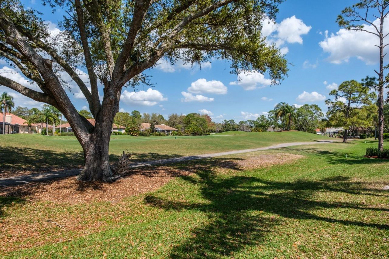 35 Kelleys Trail, Oldsmar, FL 34677 Photo