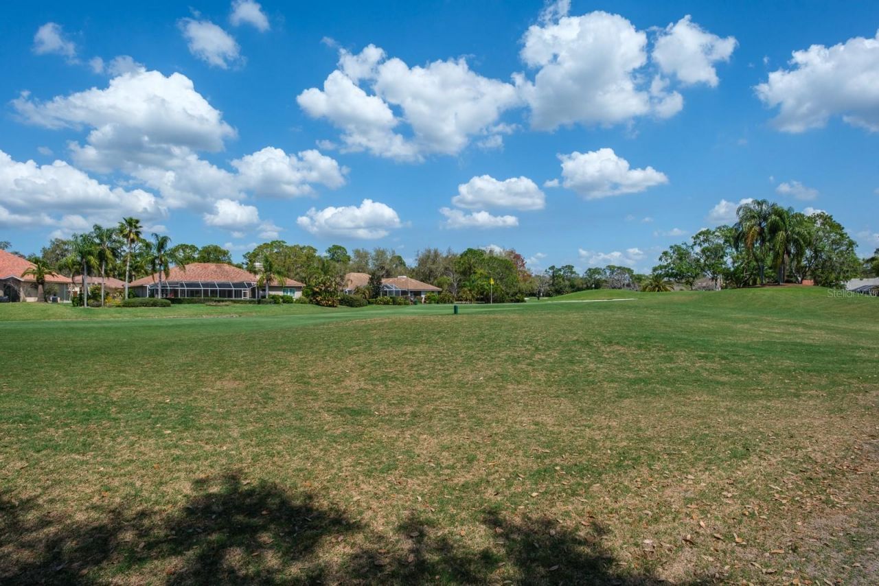 35 Kelleys Trail, Oldsmar, FL 34677 Photo