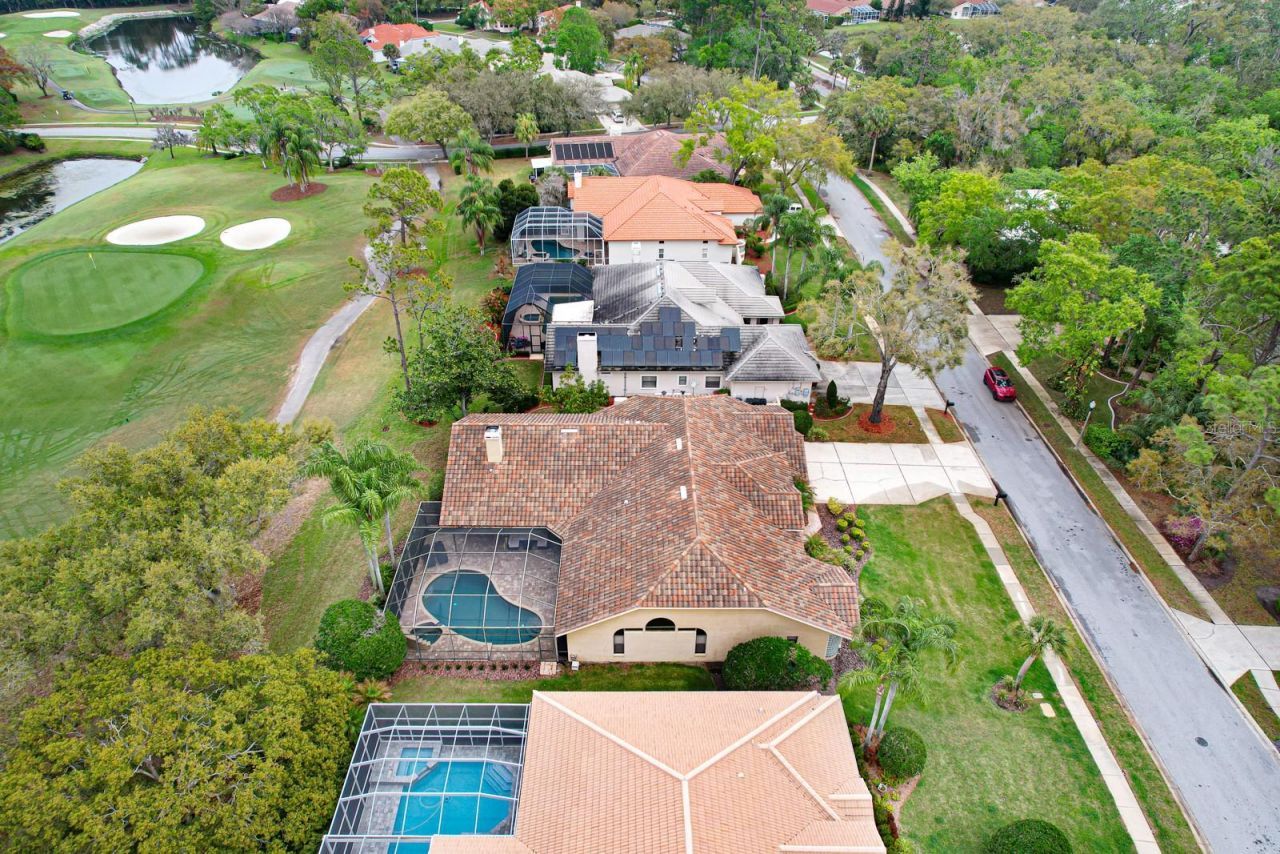 35 Kelleys Trail, Oldsmar, FL 34677 Photo