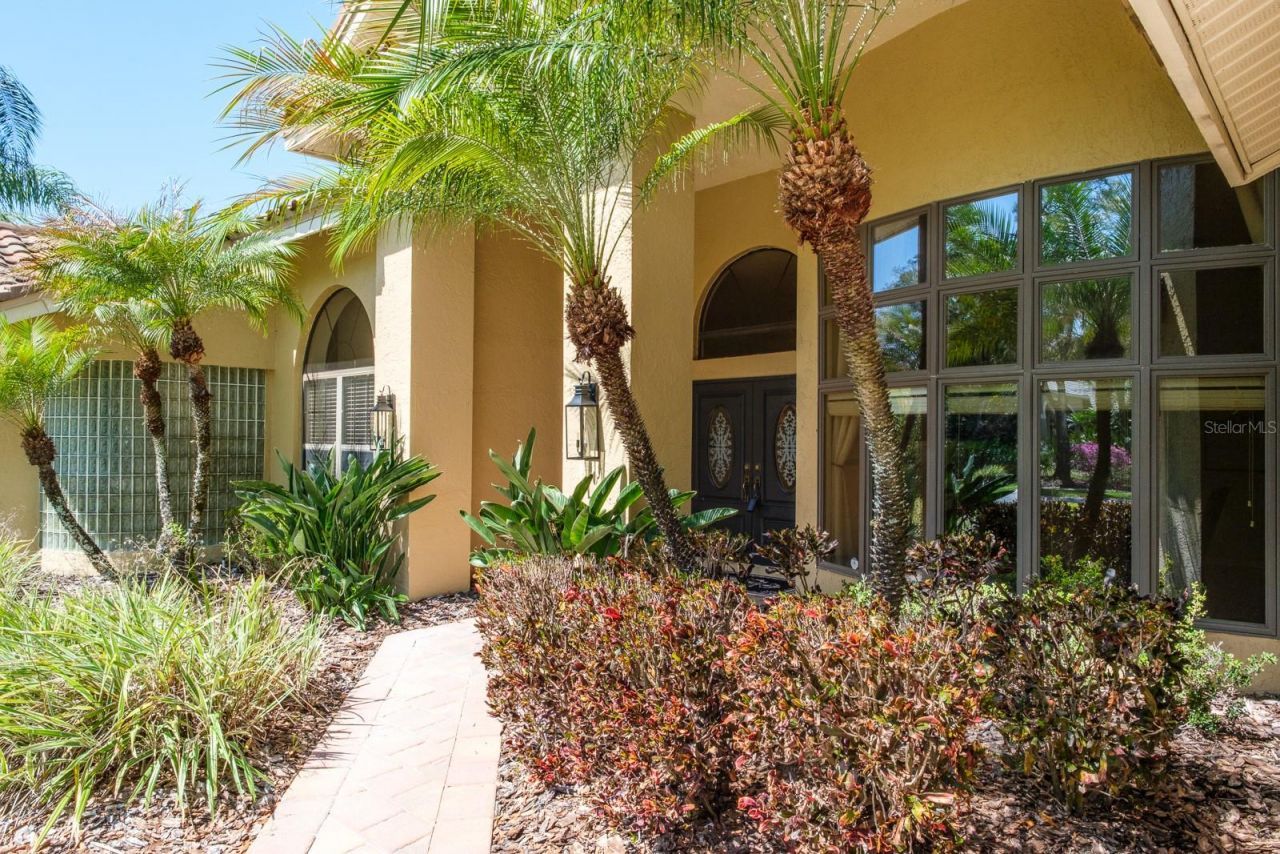 35 Kelleys Trail, Oldsmar, FL 34677 Photo