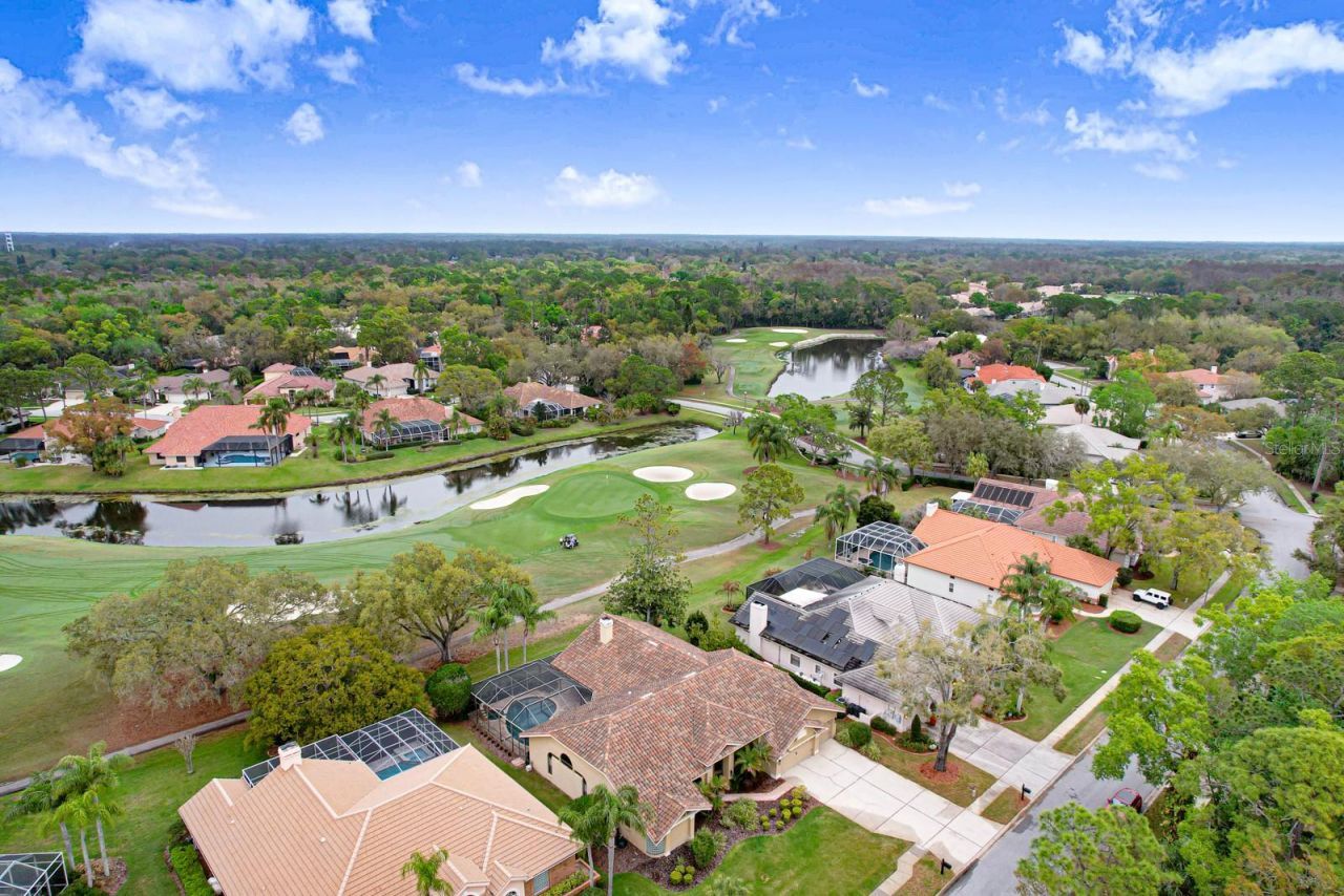 35 Kelleys Trail, Oldsmar, FL 34677 Photo