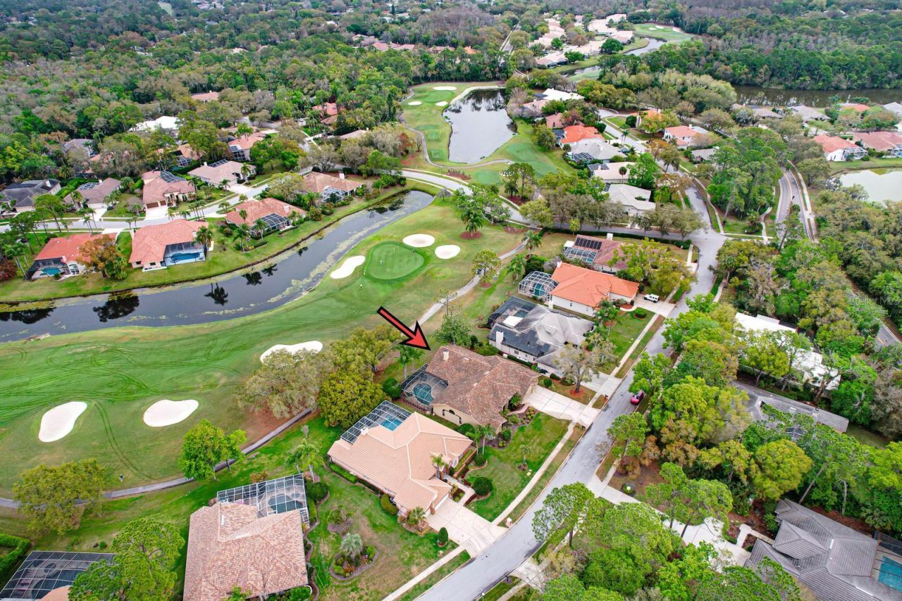 35 Kelleys Trail, Oldsmar, FL 34677 Photo