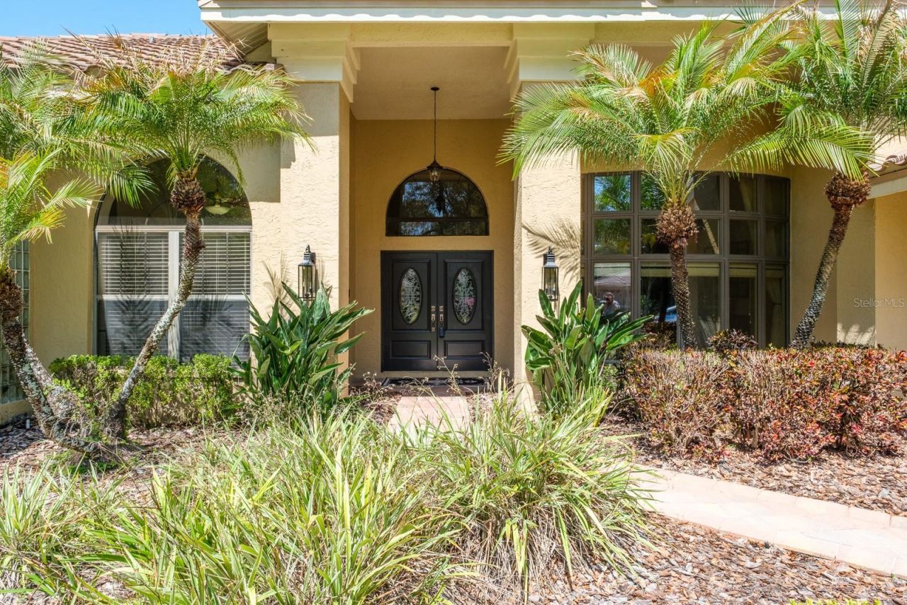 35 Kelleys Trail, Oldsmar, FL 34677 Photo