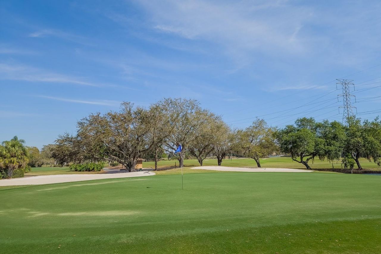 35 Kelleys Trail, Oldsmar, FL 34677 Photo