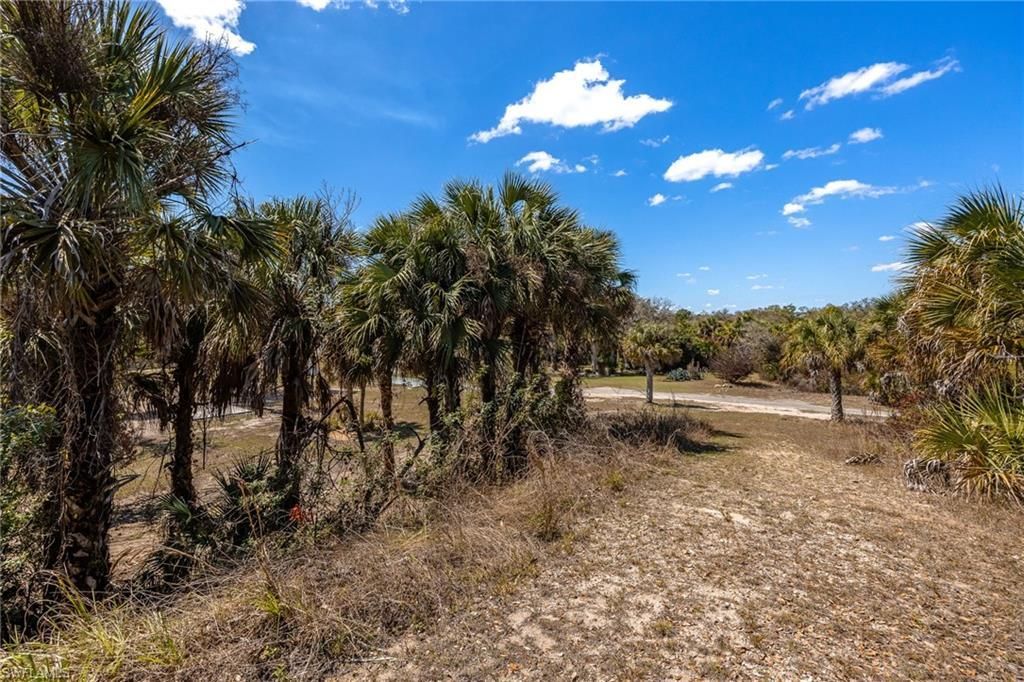 18890 Fox Run Rd, Alva, FL 33920 Photo