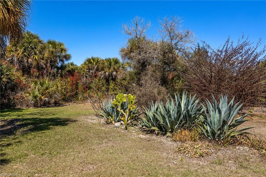 18890 Fox Run Rd, Alva, FL 33920 Photo