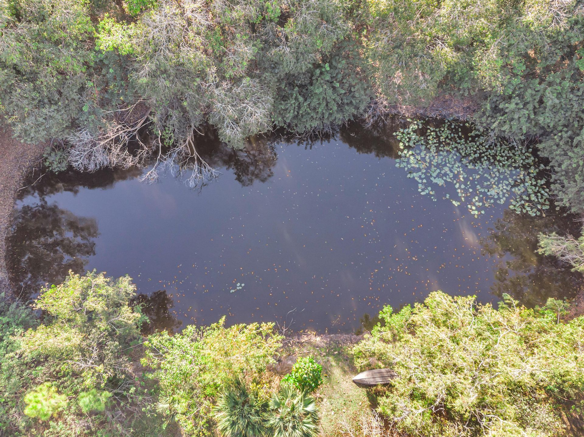 14181 35th Place N, Loxahatchee Groves, FL 33470 Photo