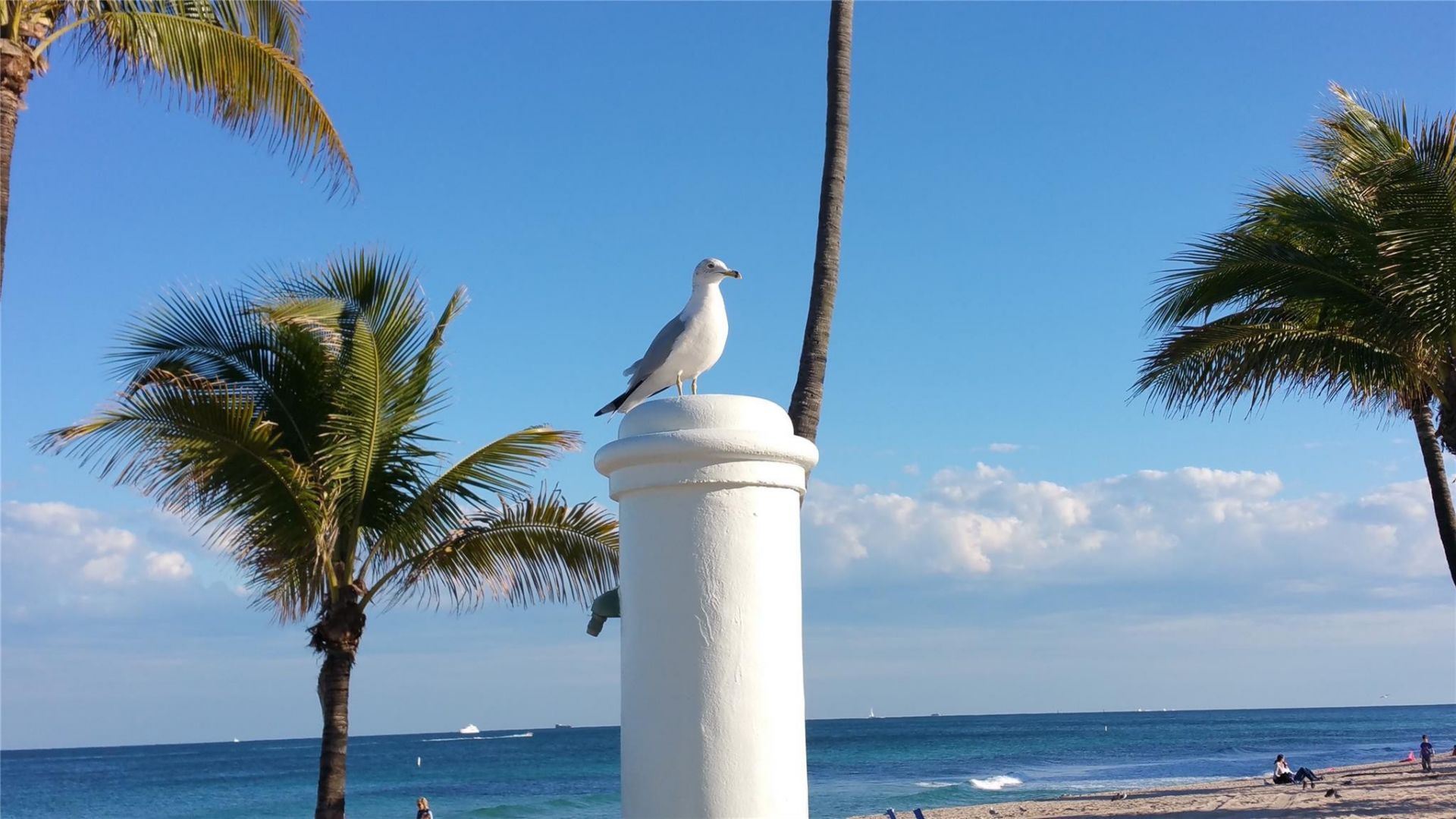 3200 NE 36 Street, Unit 1214, Fort Lauderdale, FL 33308 Photo