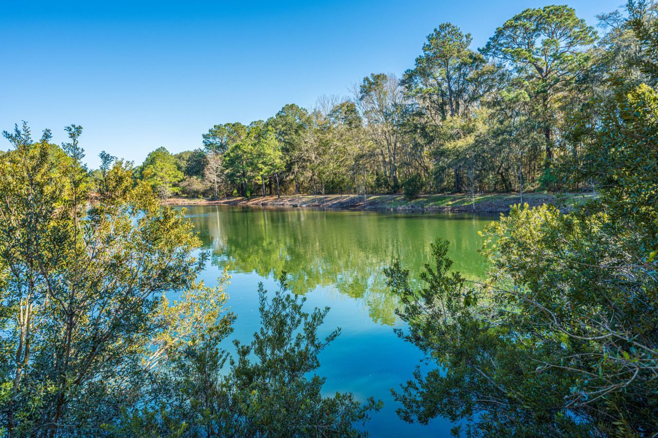 4129 Gnarled Oaks Lane Photo 13