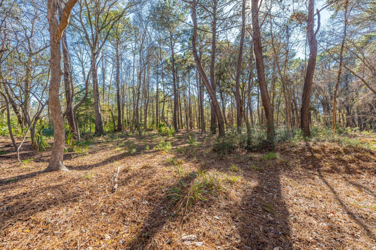 4129 Gnarled Oaks Lane Photo 16