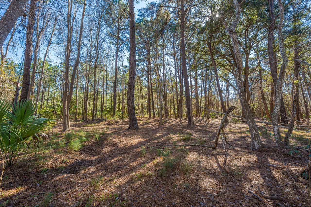 4129 Gnarled Oaks Lane Photo 17