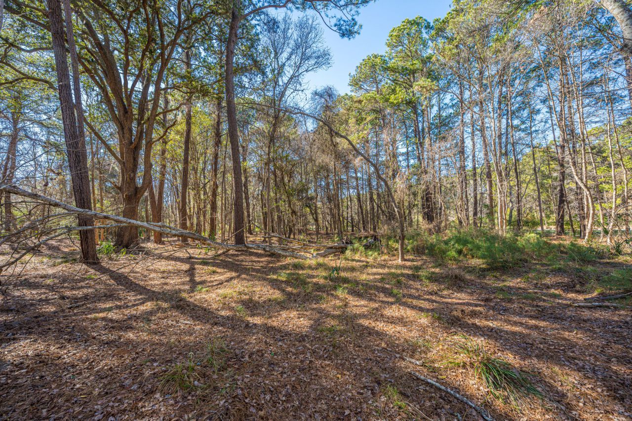 4129 Gnarled Oaks Lane Photo 18